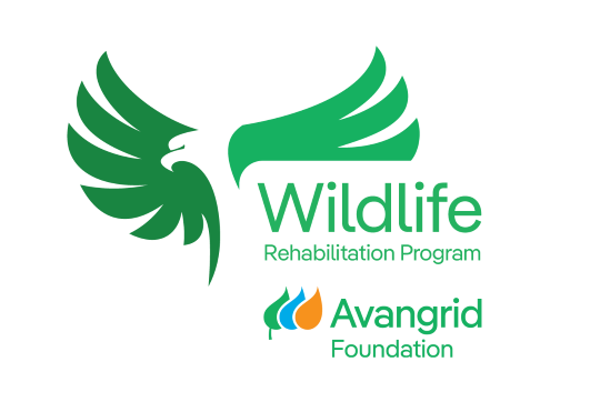 avangrid dsip 2016 opens NYSE Thursday Avangrid Foundation Opens Applications for